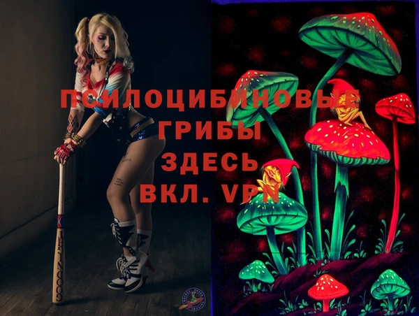 трава Абаза